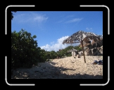 Tortola 190 * 2592 x 1944 * (2.31MB)